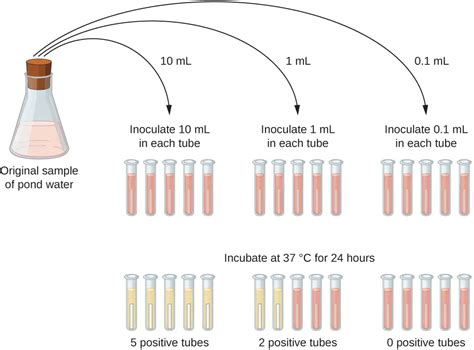 mpn microbiology|Most Probable Number .